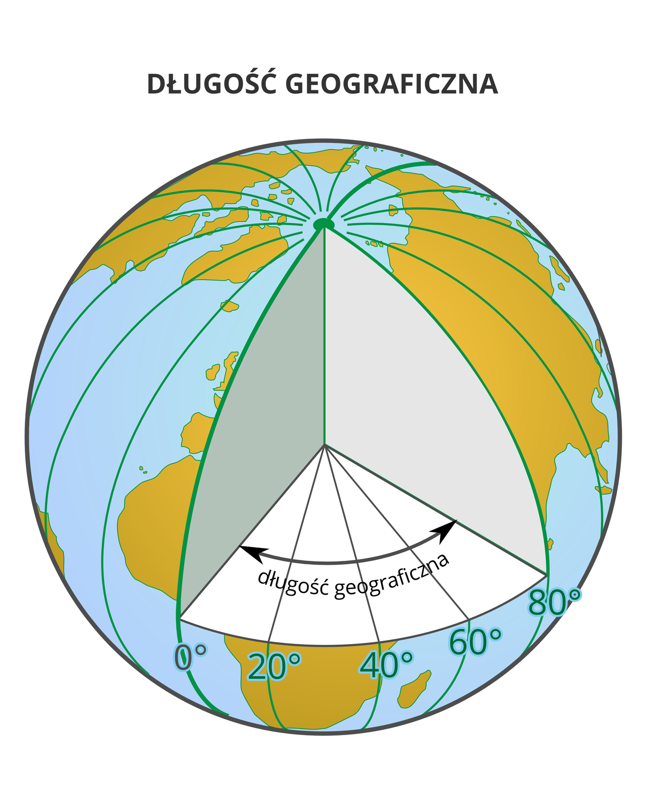 Ilustracja przedstawia kulę ziemską. Ilustracja przedstawia sposób określania długości geograficznej. W sposób trójwymiarowy przedstawiony jest kąt pomiędzy południkami. Południki zero i osiemdziesiąt stopni to płaszczyzny pomiędzy którymi zaznaczony jest kąt. Od płaszczyzny południka zero narysowana jest strzałka w prawo i w lewo. Strzałka to czarna pozioma linia wygięta w kształcie łuku.