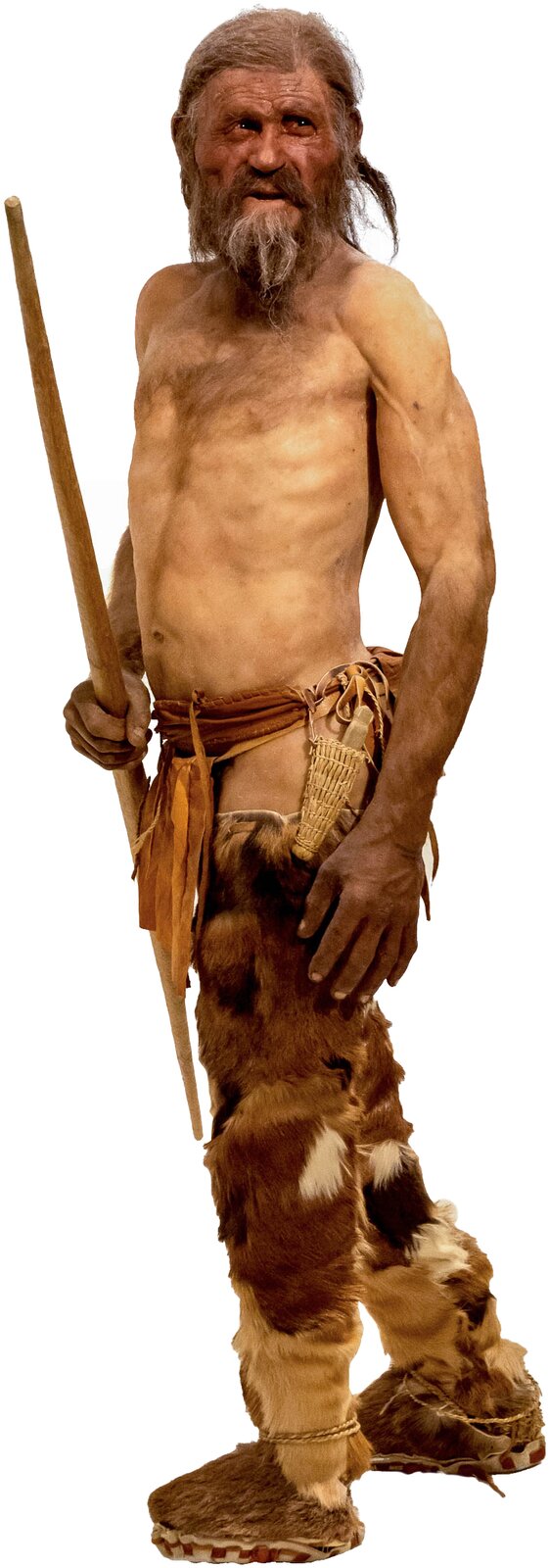 Rekonstrukcja człowieka z Ötzi Rekonstrukcja człowieka z Ötzi Źródło: Thilo Parg, Wikimedia Commons, licencja: CC BY-SA 3.0.