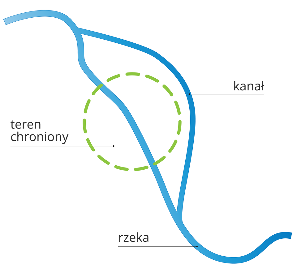 Ilustracja przedstawia schemat kanału ulgi. Na ilustracji znajduje się niebieska wstęga wijąca się od górnego lewego rogu do dolnego prawego rogu ilustracji. Niebieska wstęga to rzeka. Szerokość około trzy milimetry. W górnej części rozwidla się na dwie odnogi. Odnoga odchodzi w prawo głównej rzeki. Odnoga łączy się ponownie z rzeką w dolnej części. Odnoga to kanał. Kanał oddalony jest od rzeki o około dwadzieścia milimetrów. Dokładnie w połowie długości rzeki znajduje się zarys koła. Zarys koła tworzy zielona przerywana linia. Połowa okręgu znajduje się po lewej stronie rzeki. Druga połowa po prawej stronie rzeki. Na lewo od krawędzi koła znajduje się napis: teren chroniony. Poniżej niebieska pozioma linia wskazuje na rzekę. Nad linią napis: rzeka. Niebieska pozioma linia znajduje się na prawo od kanału. Nad linią napis: kanał.