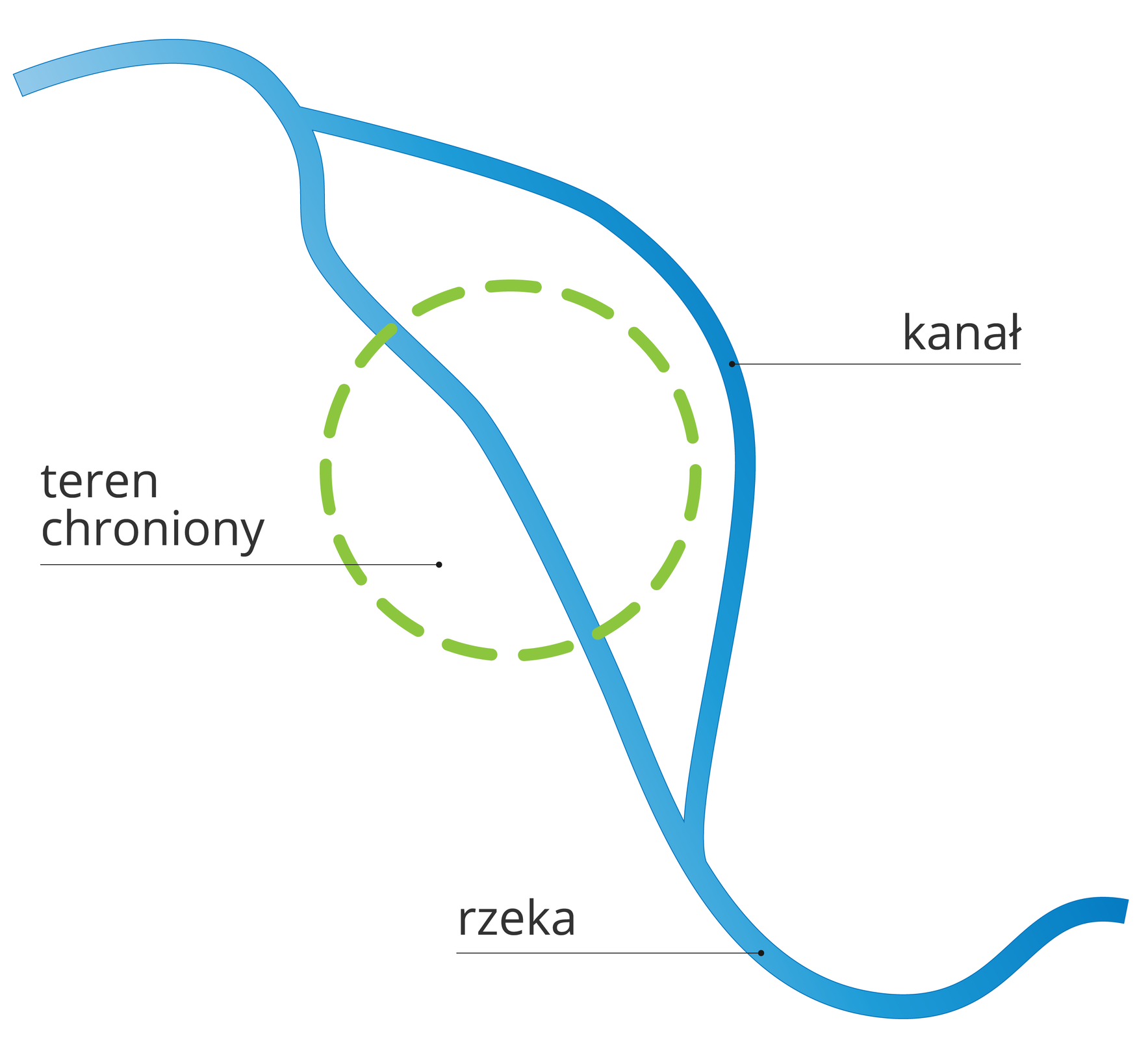 Ilustracja przedstawia schemat kanału ulgi. Na ilustracji znajduje się niebieska wstęga wijąca się od górnego lewego rogu do dolnego prawego rogu ilustracji. Niebieska wstęga to rzeka. Szerokość około trzy milimetry. W górnej części rozwidla się na dwie odnogi. Odnoga odchodzi w prawo głównej rzeki. Odnoga łączy się ponownie z rzeką w dolnej części. Odnoga to kanał. Kanał oddalony jest od rzeki o około dwadzieścia milimetrów. Dokładnie w połowie długości rzeki znajduje się zarys koła. Zarys koła tworzy zielona przerywana linia. Połowa okręgu znajduje się po lewej stronie rzeki. Druga połowa po prawej stronie rzeki. Na lewo od krawędzi koła znajduje się napis: teren chroniony. Poniżej niebieska pozioma linia wskazuje na rzekę. Nad linią napis: rzeka. Niebieska pozioma linia znajduje się na prawo od kanału. Nad linią napis: kanał.