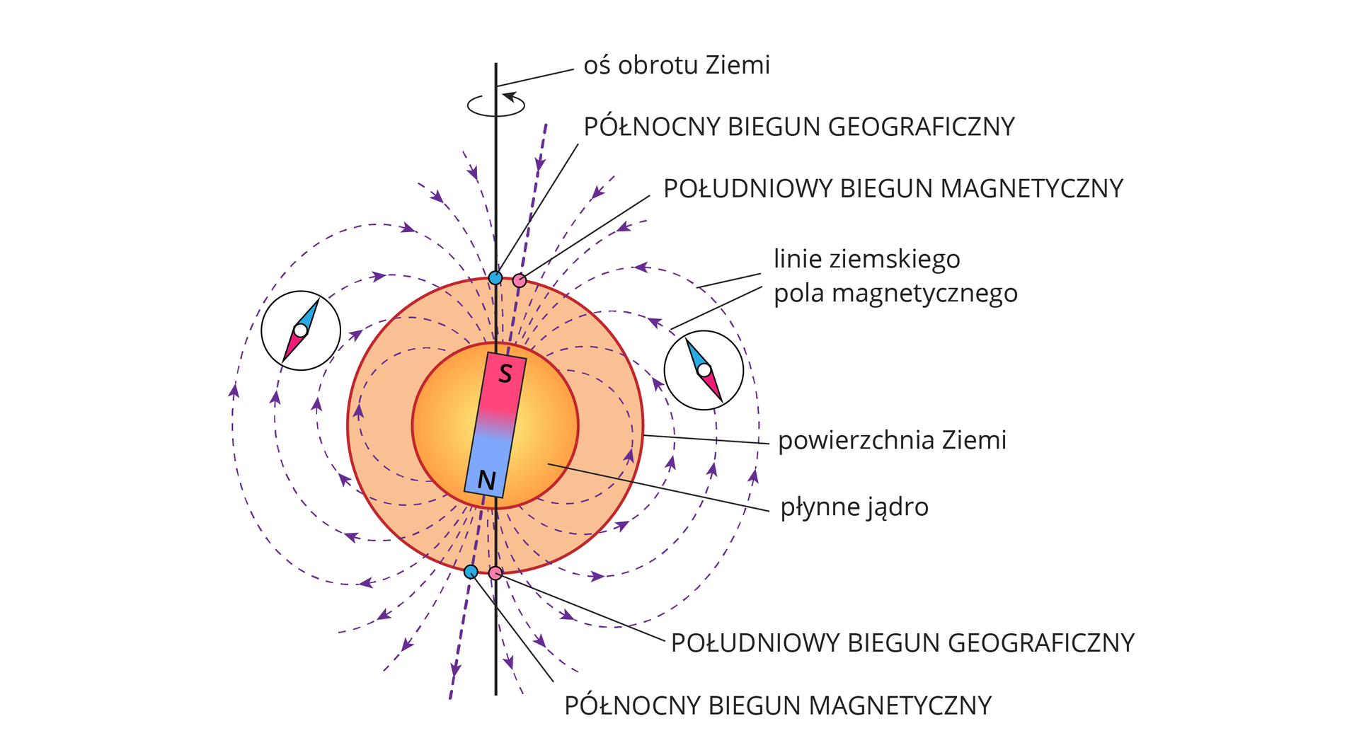 Ilustracja prezentuje różnice między biegunami magnetycznymi a geograficznymi.Na ilustracji pokazano kulę ziemską. Jej oś obrotu wyznacza biegun geograficzny, który nie pokrywa się z biegunem magnetycznym Ziemi, znajdującym się w jądrze Ziemi. Linie pola magnetycznego Ziemi odchylają się w niewielkim stopniu od biegunów geograficznych. Igły kompasu układają się zgodnie z kierunkiem linii pola magnetycznego.