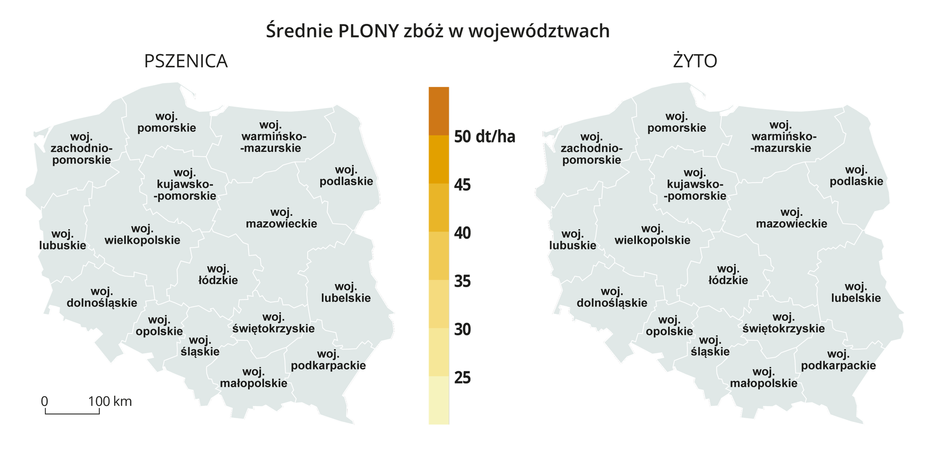 Na ilustracji dwie mapy konturowe Polski z podziałem na województwa. Z lewej strony tytuł pszenica, z prawej strony tytuł żyto. Pośrodku legenda z kolorami. Kolory jasne niskie średnie plony zbóż w województwach (25 dt/ha). Kolory ciemne wysokie średnie plony zbóż w województwach (50 dt/ha).
