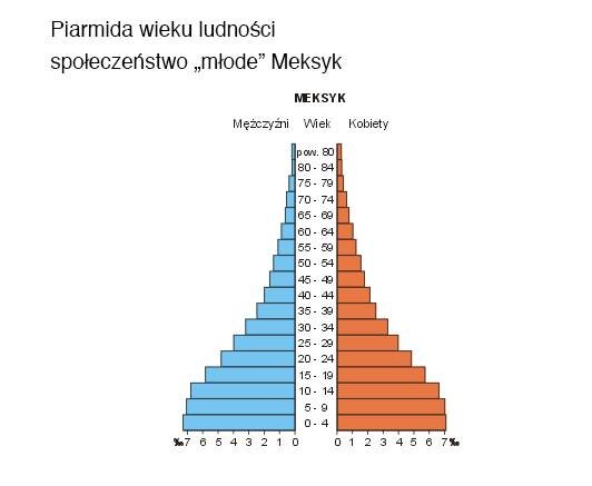 Piramidy wieku Źródło: Siałababamak, Piramidy wieku, 2004, domena publiczna.
