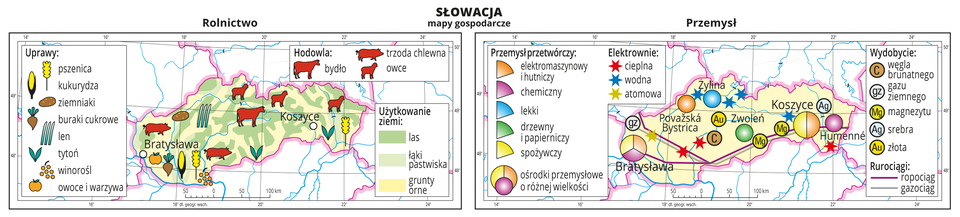 Ilustracja przedstawia dwie mapy gospodarcze Słowacji . Mapa pierwsza – rolnictwo, mapa druga – przemysł. Na mapie rolnictwa tło w kolorze żółtym (grunty orne), jasnozielonym (łąki i pastwiska) i zielonym (lasy). Na mapie sygnatury obrazujące uprawy roślin (pszenica, kukurydza, ziemniaki, buraki cukrowe, len, tytoń, winorośl, owoce i warzywa) oraz hodowlę zwierząt (bydło, trzoda chlewna, owce). Na mapie przemysłu sygnatury kołowe – ośrodki przemysłowe. Duże w Bratysławie, Koszycach, kilka mniejszych. Przemysł elektromaszynowy i hutniczy, chemiczny, lekki, drzewny i papierniczy oraz spożywczy. Kilka elektrowni cieplnych i wodnych oznaczonych kolorowymi gwiazdkami, jedna elektrownia atomowa, ropociąg i gazociąg oznaczone liniami. Sygnaturami oznaczone wydobycie węgla brunatnego, gazu ziemnego, magnezytu, srebra i złota. Obie mapy zawierają południki i równoleżniki, dookoła map w białych ramkach opisano współrzędne geograficzne.