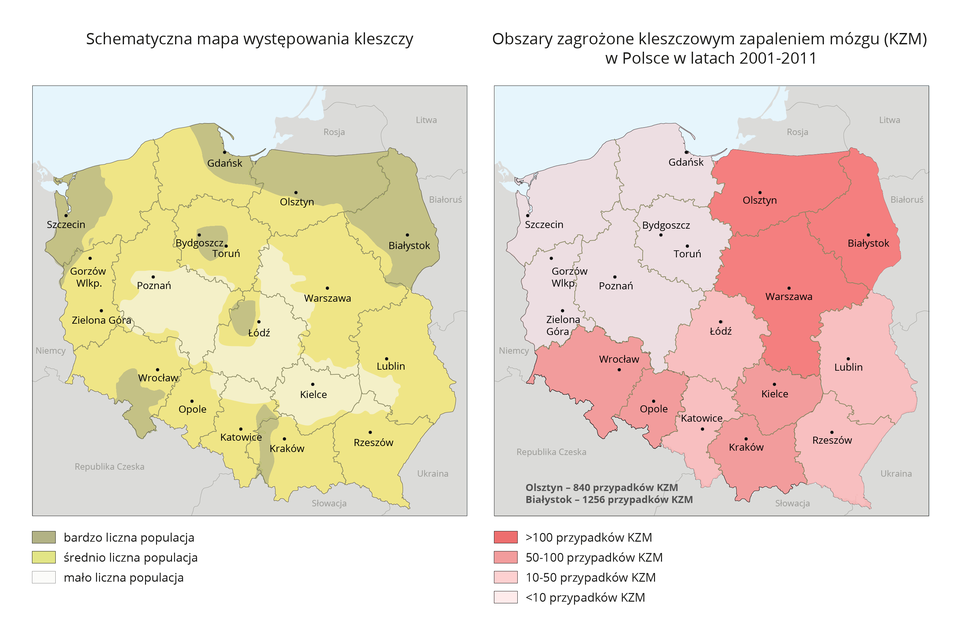 Schemat przedstawiający mapę przedstawiającą obszary zagrożenia kleszczowym zapaleniem mózgu w Polsce w latach 2001-2011.