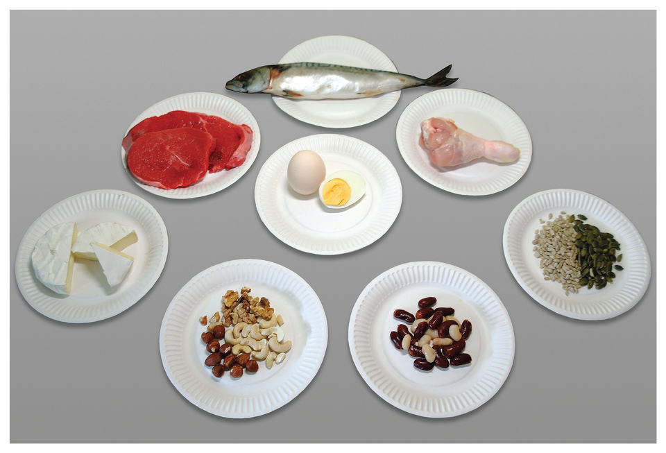 Fotografia przedstawia osiem białych talerzyków z produktami, bogatymi w białko. Od góry: srebrzysta ryba. Niżej czerwone płaty surowego mięsa. W środku dwa jajka, jedno ugotowane przekrojone dla ukazania żółtka. Z prawej różowe surowe udko drobiowe. W dolnym rzędzie od lewej: kawałki biało – kremowego sera pleśniowego, różne brązowe i jasne orzechy. Biała i czerwona fasola, na końcu ziarna słonecznika i zielone dyni.