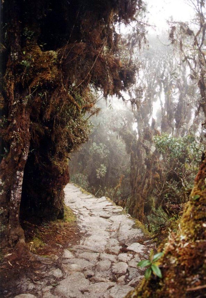 Droga inkaska w okolicach Machu Picchu Droga inkaska w okolicach Machu Picchu Źródło: Pajaro, domena publiczna.