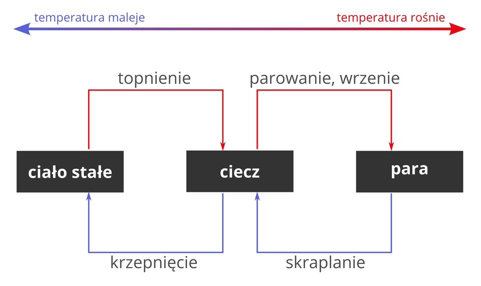 Na ilustracji zaprezentowano schemat obrazujący zmiany stanów skupienia. Są one związane ze zmianą temperatury substancji. Ciało stałe pod wpływem wzrostu temperatury topnieje i zamienia się w ciecz. Ciecz natomiast wraz ze wzrostem temperatury zaczyna wrzeć, a następnie parować, co powoduje zmianę jej stanu skupienia w stan gazowy. Kiedy temperatura spada, gaz ulega procesowi skraplania, zamieniając się w ciecz. Dalsze obniżanie temperatury doprowadzi do krzepnięcia i przemiany cieczy w ciało stałe.