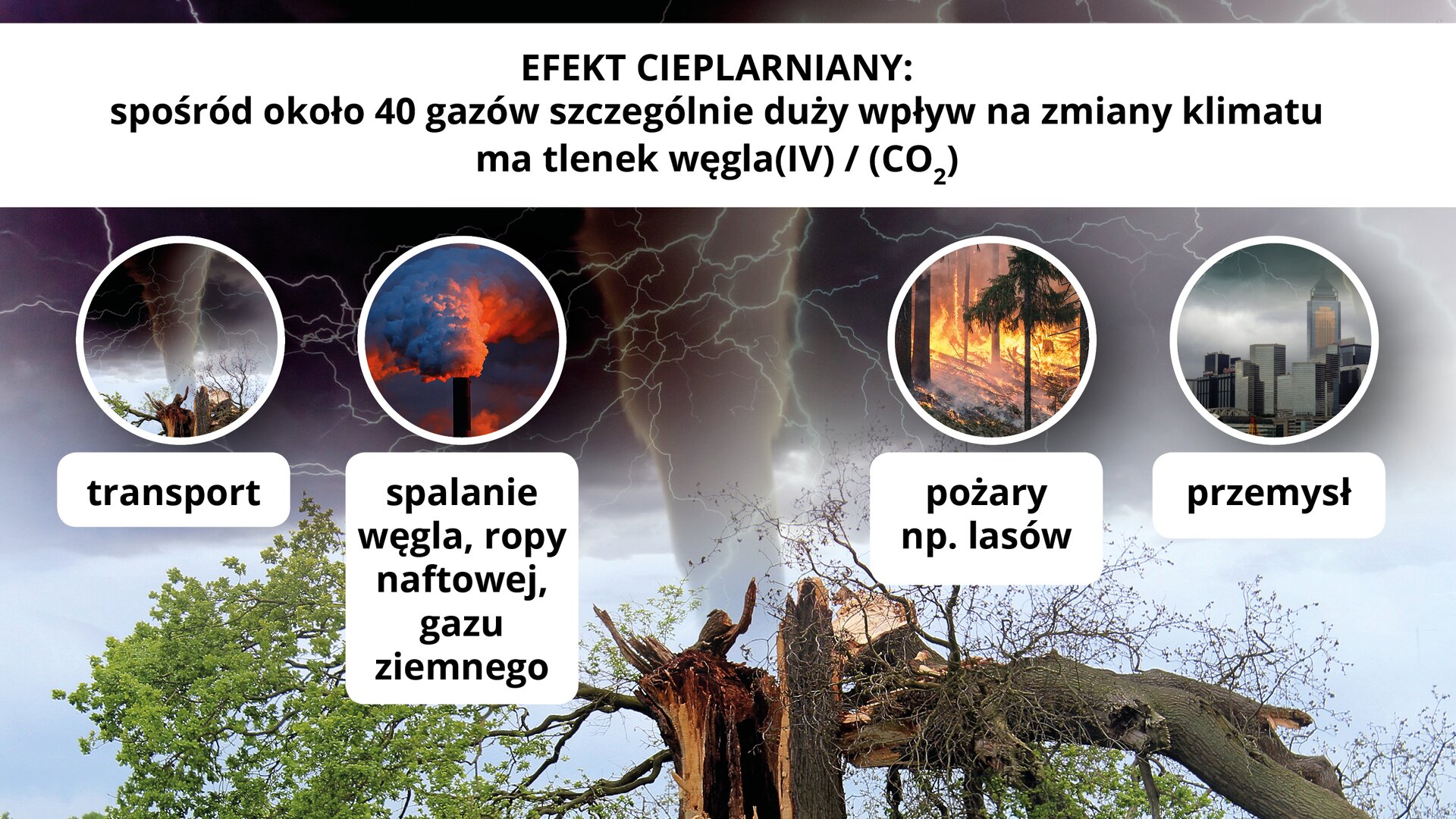 Ilustracja ma nagłówek: „Efekt cieplarniany: spośród około czterdziestu gazów szczególnie duży wpływ na zmiany klimatu ma tlenek węgla cztery”. Poniżej przedstawione jest drzewo złamane na skutek występowania kwaśnych deszczy i gwałtownych zmian pogodowych, na przykład występowaniu tornad. Ponadto, na ilustracji znajdują się cztery mniejsze okrągłe ilustracje. Pierwsza ilustracja prezentuje to samo złamane drzewo i zawiera podpis: „transport”. Druga ilustracja przedstawia fabryczny komin oznaczający proces spalania węgla i ropy naftowej. Ilustracja ta zawiera podpis: „spalanie węgla, ropy naftowej, gazu ziemnego”. Trzecia ilustracja przedstawia pożar lasu i zawiera napis: „pożary na przykład lasów”. Czwarta ilustracja przedstawia przemysłową część dużego miasta z unoszącym się nad budynkami smogiem i podpis: „przemysł”.
