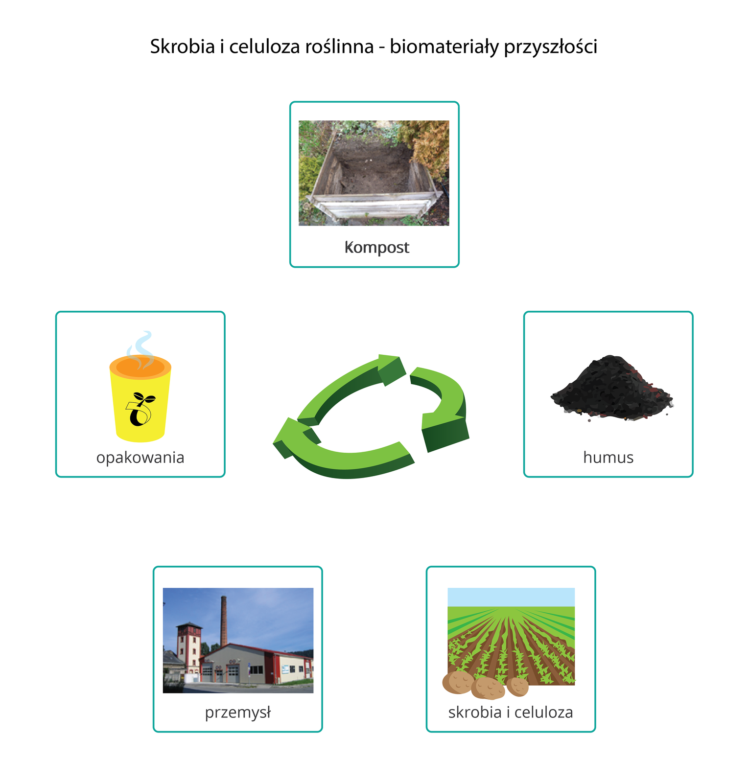 Skrobia i celuloza - biomateriały przyszłości