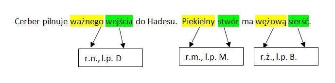 przymiotnik Źródło: licencja: CC 0.