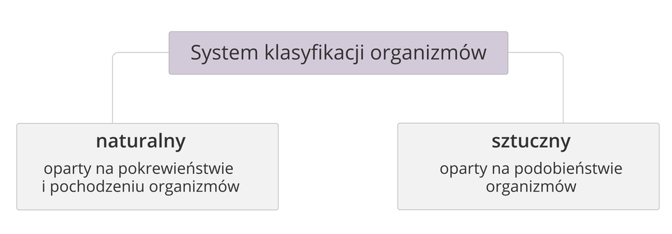 Ilustracja przedstawiająca typy systemów klasyfikacji organizmów