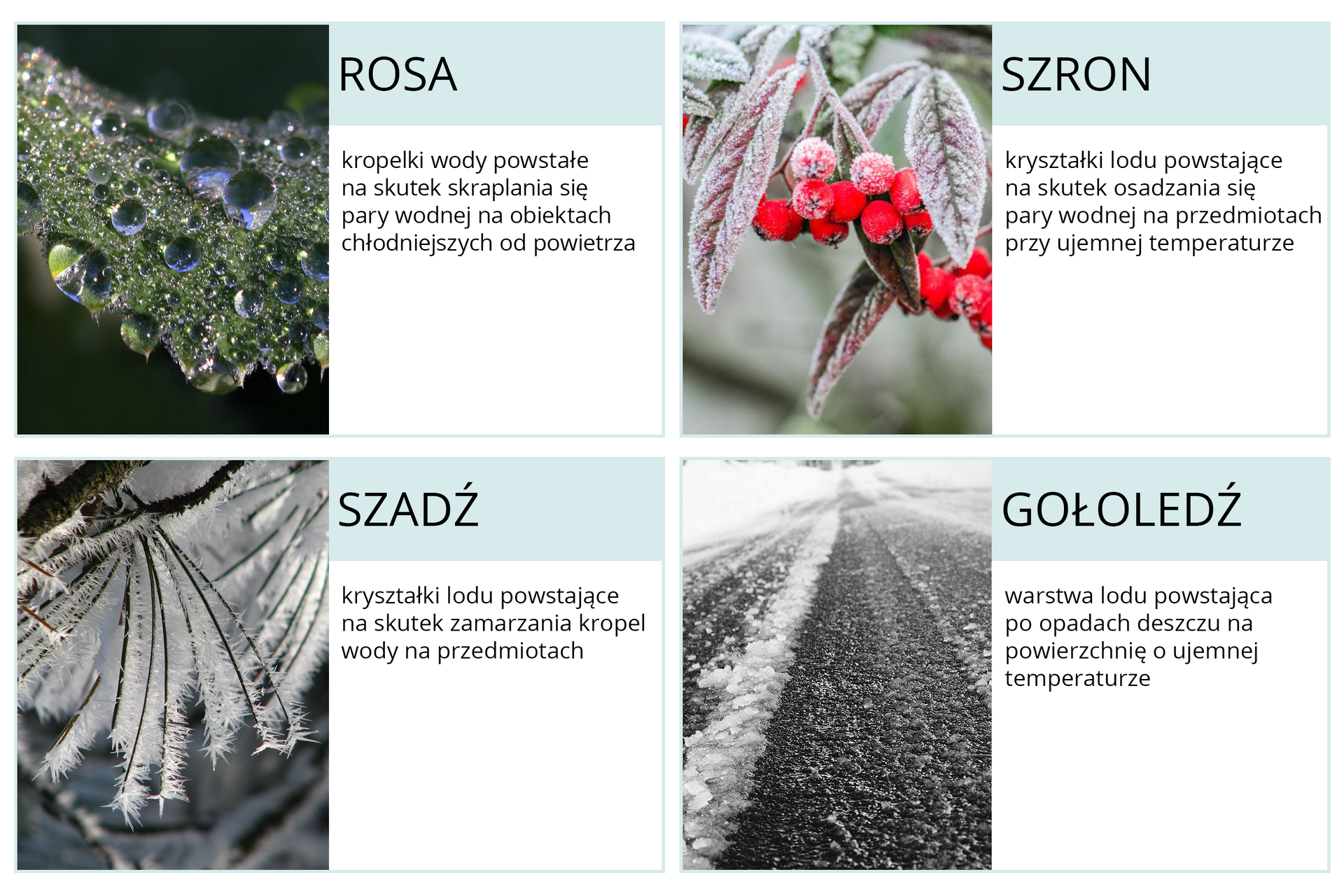 Zdjęcie rosy, szadzi, szronu, gołoledzi z opisami