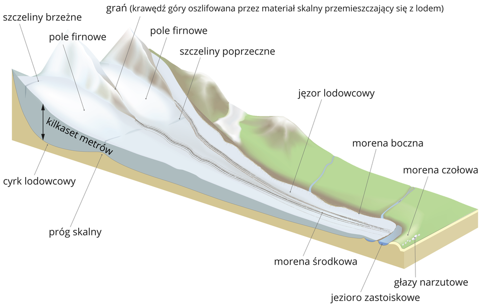 Na ilustracji lodowiec górski o grubości kilkaset metrów na stoku górskim. Pole firnowe, szczeliny brzeżne i poprzeczne, jęzor lodowcowy, cyrk lodowcowy i próg skalny. Na przodzie lodowca morena środkowa, morena czołowa i morena boczna, głazy narzutowe i jeziora zastoiskowe.
