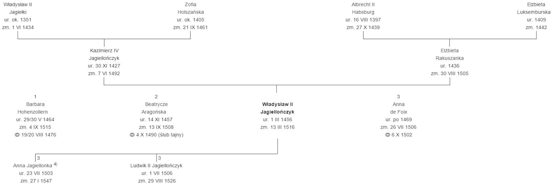 Jagiellonowie - drzewo genealogiczne Władysława II, króla Czech i Węgier Drzewo genealogiczne Władysława II, króla Czech i Węgier. Źródło: Jagiellonowie - drzewo genealogiczne Władysława II, króla Czech i Węgier, domena publiczna.