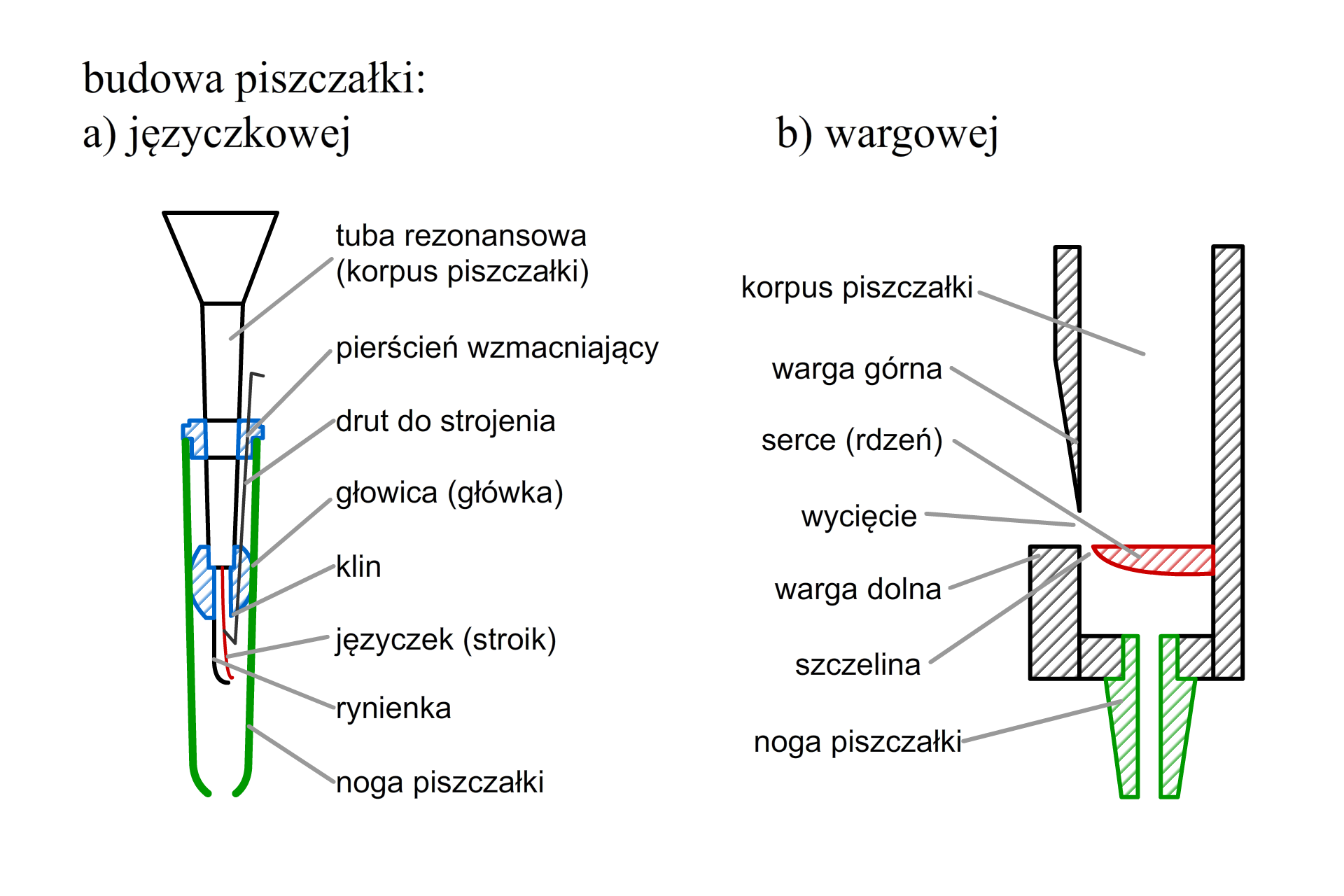 Schemat budowy piszczałki stroikowej i wargowej