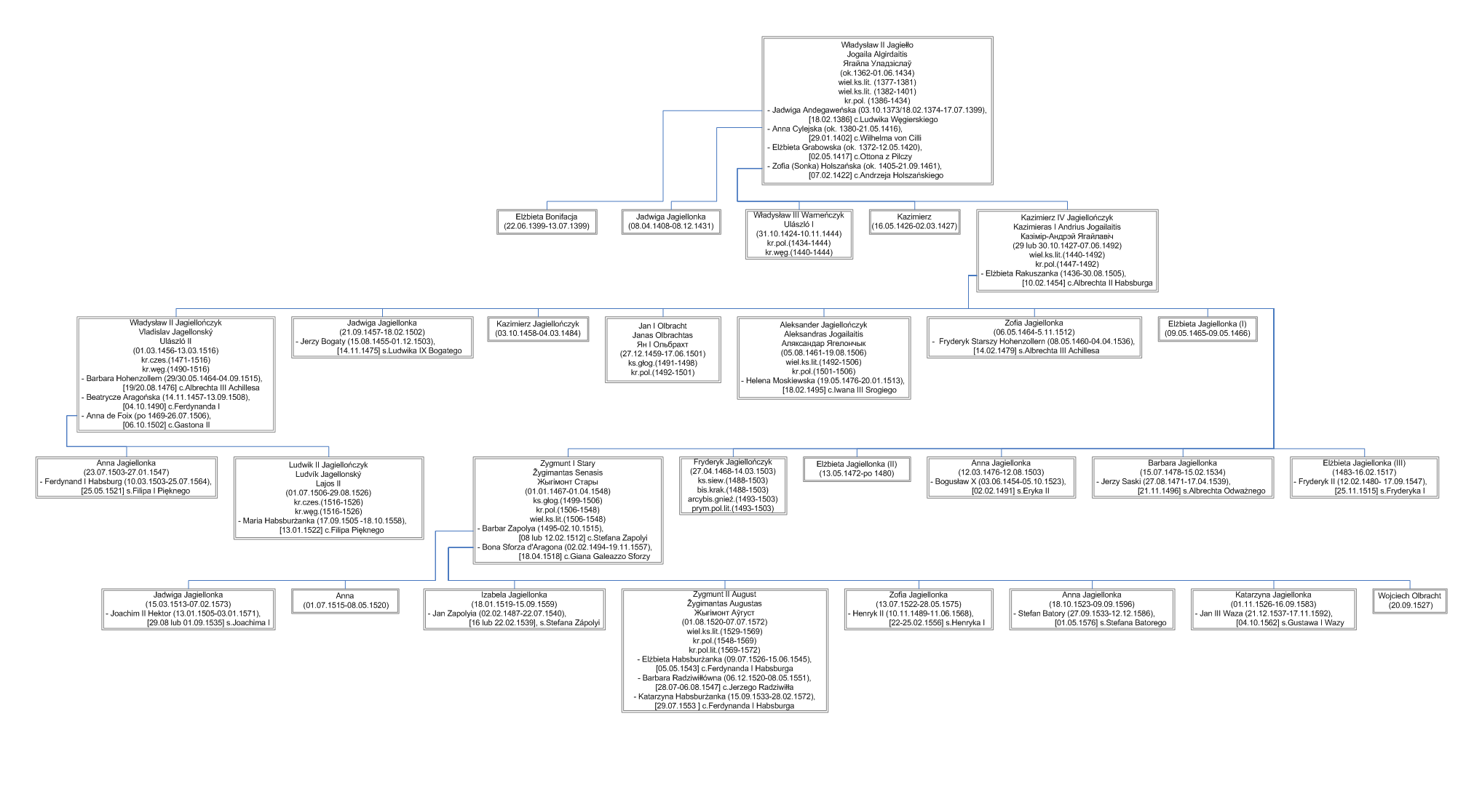 Powyższe drzewo genealogiczne pokazuje powiązania małżeńskie Jagiellonów od czasów Władysława Jagiełły do ostatniego Jagiellona Zygmunta Starego. Powyższe drzewo genealogiczne pokazuje powiązania małżeńskie Jagiellonów od czasów Władysława Jagiełły do ostatniego Jagiellona Zygmunta Starego. Źródło: Przemyslaw Ziolkowski, Wikimedia Commons, licencja: CC BY-SA 4.0.
