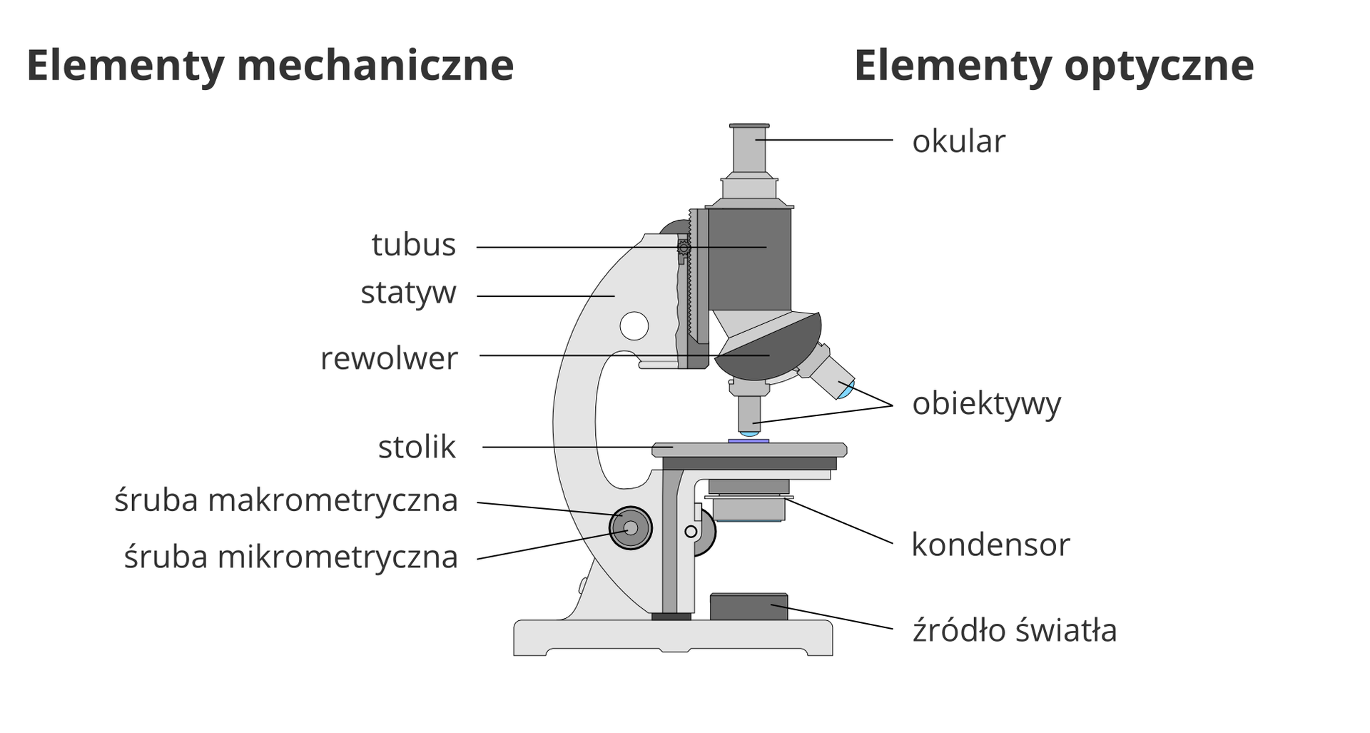 Ilustracja przedstawia mikroskop optyczny. Jego części zostały podpisane na rysunku. Po lewej znajdują się podpisy części mechanicznych: tubus, statyw, rewolwer, stolik i śruby: mikrometryczna i mikrometryczna. Po prawej znajdują się podpisy części optycznych: okular, obiektywy, kondensor, źródło światła.Pod rysunkiem mikroskopu znajduje się opis funkcji poszczególnych części.