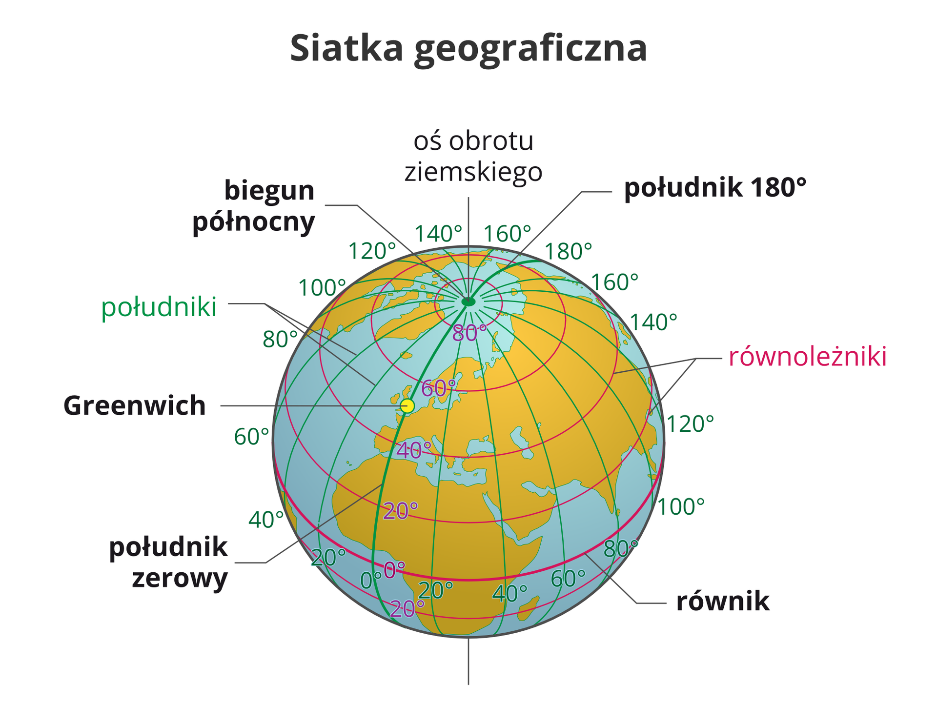 Ilustracja przedstawia kulę ziemską biegunem północnym skierowaną w stronę obserwatora. Wokół kuli narysowane są pionowe i poziome linie. Linie tworzą okręgi narysowane na kuli ziemskiej. Linie poziome są ułożone względem siebie równolegle i są to równoleżniki. Pogrubiony równoleżnik opasający Ziemię w jej najgrubszym miejscu to równik. Dzieli on kulę ziemską na dwie jednakowe półkule – północną i południową. Układ linii pionowych to południki. Biegną one od bieguna północnego do bieguna południowego i są prostopadłe do równoleżników, tworzą półokręgi. Pogrubiona linia to południk zerowy. Przechodzi przez zaznaczoną na kuli miejscowość Greenwich. Miejscowość ta leży w Anglii. Południk zerowy i sto osiemdziesiąty dzielą Ziemię na dwie półkule – wschodnią i zachodnią. Południki i równoleżniki tworzą na kuli siatkę geograficzną. Wzdłuż południka zerowego i równika jest umieszczony opis siatki. Liczby opisujące siatkę wyrażone są w stopniach i rozmieszczone co dwadzieścia stopni. Pionowa linia łącząca bieguny, poprowadzona przez środek wewnątrz kuli ziemskiej to oś obrotu ziemskiego. Widoczny i opisany jest biegun północny. Biegun południowy znajdujący się pod spodem kuli jest niewidoczny dla obserwatora.