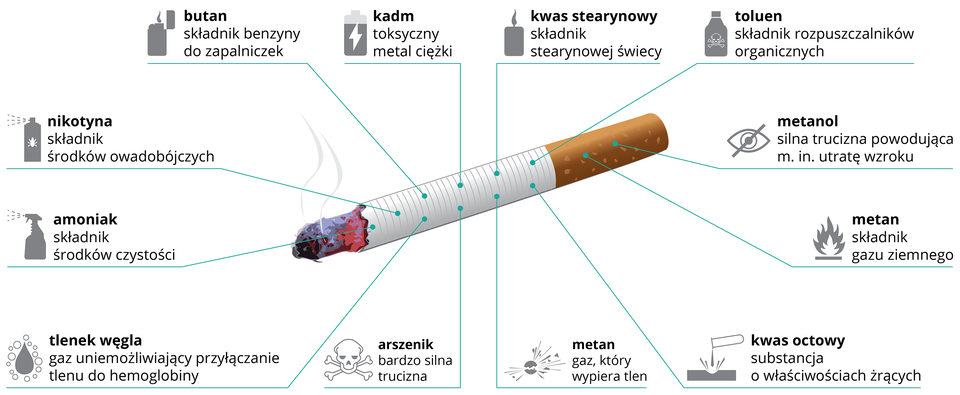 Ilustracja przedstawia ukosem żarzący się biały papieros z pomarańczowym ustnikiem. Od niego niebieskie linie prowadzą do opisu i obrazka przykładowych substancji, zawartych w dymie papierosowym. Od góry od lewej: butan, kadm, kwas stearynowy, toluen, metanol, metan, kwas octowy, arszenik, tlenek węgla, amoniak, nikotyna.