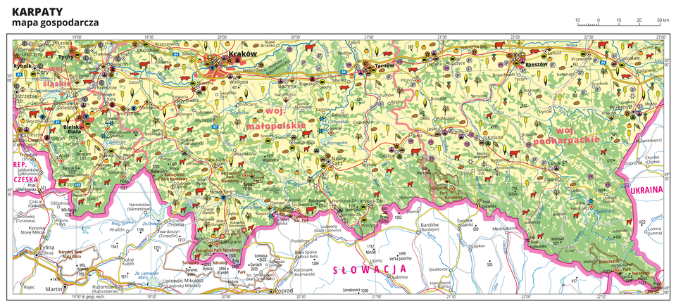 Ilustracja przedstawia mapę gospodarczą Karpat. Tło mapy w kolorze żółtym (grunty orne), jasnozielonym (łąki i pastwiska) i zielonym (lasy). Mapa obejmuje tereny od Rybnika i Cieszyna na zachodzie po Przemyśl na wschodzie. Na południu mapy przebiega granica Polski. Na mapie sygnatury obrazujące uprawy poszczególnych roślin, hodowlę zwierząt, przemysł, górnictwo i energetykę, komunikację, turystykę, naukę, kulturę i sztukę. Największe zagęszczenie sygnatur w Krakowie. Duże zagęszczenie sygnatur w Tarnowie, Rzeszowie, Bielsku-Białej i Przemyślu. Na obszarze całej mapy rozmieszczone sygnatury hodowli i upraw. Na mapie przedstawiono sieć dróg i kolei, porty wodne i lotnicze, granice województw, granicę państwa. Opisano województwa śląskie, małopolskie i podkarpackie. Opisano parki narodowe. Opisano Republikę Czeską, Słowację i Ukrainę. Mapa zawiera południki i równoleżniki, dookoła mapy w białej ramce opisano współrzędne geograficzne co trzydzieści minut.