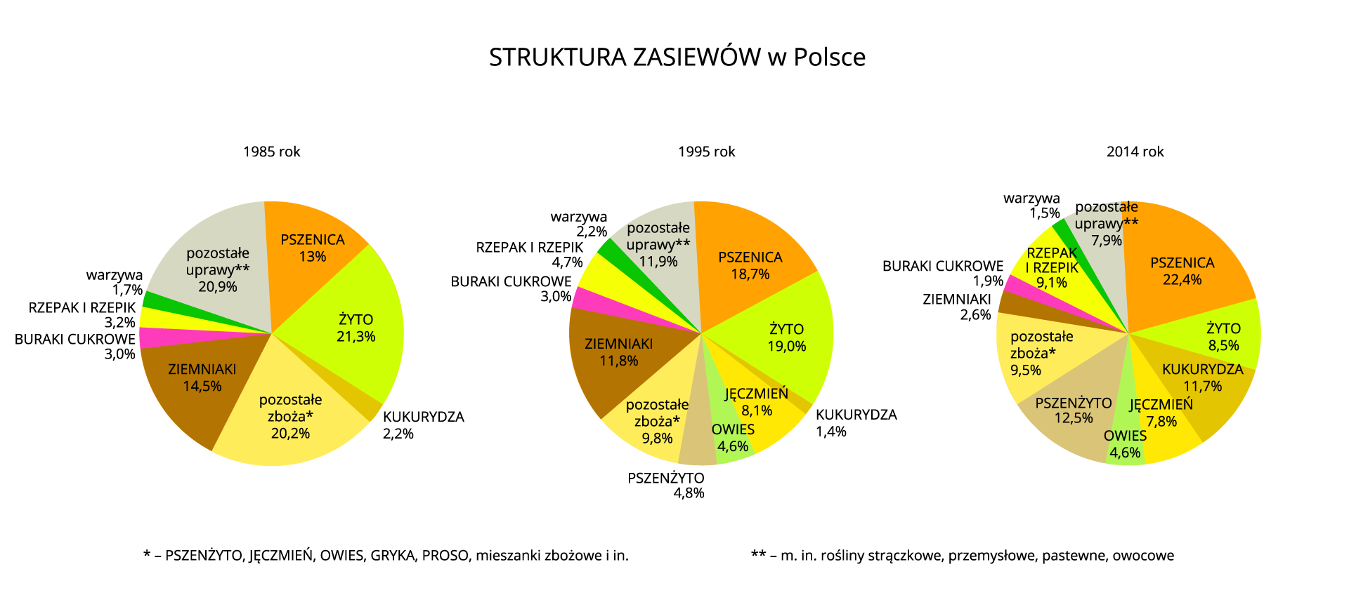 Na ilustracji trzy diagramy kołowe – struktura zasiewów w Polsce w latach 1985, 1995, 2014.Pierwszy diagram: uprawa1985pszenica13,0% żyto21,3% kukurydza2,2% pozostałe zboża20,2% ziemniaki14,5% buraki cukrowe3,0% rzepak i rzepik3,2% warzywa1,7% pozostałe uprawy20,9% Drugi diagram: uprawa1995pszenica18,7% żyto19,0% kukurydza1,4% jęczmień8,1% owies4,6% pszenżyto4,8% pozostałe zboża9,8% ziemniaki11,8% buraki cukrowe3,0% rzepak i rzepik4,7% warzywa2,2% pozostałe uprawy11,9% Trzeci diagram: uprawa2014pszenica22,4% żyto8,5% kukurydza11,7% jęczmień7,8% owies4,6% pszenżyto12,5% pozostałe zboża9,5% ziemniaki2,6% buraki cukrowe1,9% rzepak i rzepik9,1% warzywa1,5% pozostałe uprawy7,9%