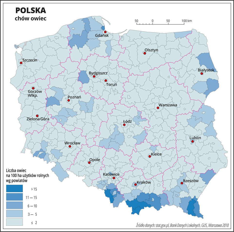 Ilustracja przedstawia mapę Polski z podziałem na powiaty, na której za pomocą kolorów przedstawiono liczbę sztuk owiec na sto hektarów użytków rolnych wg powiatów. Na mapie czerwonymi liniami oznaczono granice województw, a czarnymi granice powiatów, czerwonymi kropkami oznaczono miasta wojewódzkie i je opisano. Najciemniejszymi odcieniami koloru niebieskiego oznaczono obszary, gdzie występuje powyżej dziesięciu sztuk owiec na sto hektarów użytków rolnych. Są to tereny górskie w województwie śląskim, małopolskim i podkarpackim. Od sześciu do dziesięciu sztuk owiec na sto hektarów użytków rolnych występuje w pojedynczych powiatach w województwie podlaskim, pomorskim, kujawsko-pomorskim i wielkopolskim. Pozostała część Polski oznaczona jest kolorem błękitnym obrazującym najmniejsze występowanie owiec – poniżej pięciu sztuk na sto hektarów użytków rolnych. Poniżej mapy w legendzie opisano kolory użyte na mapie.