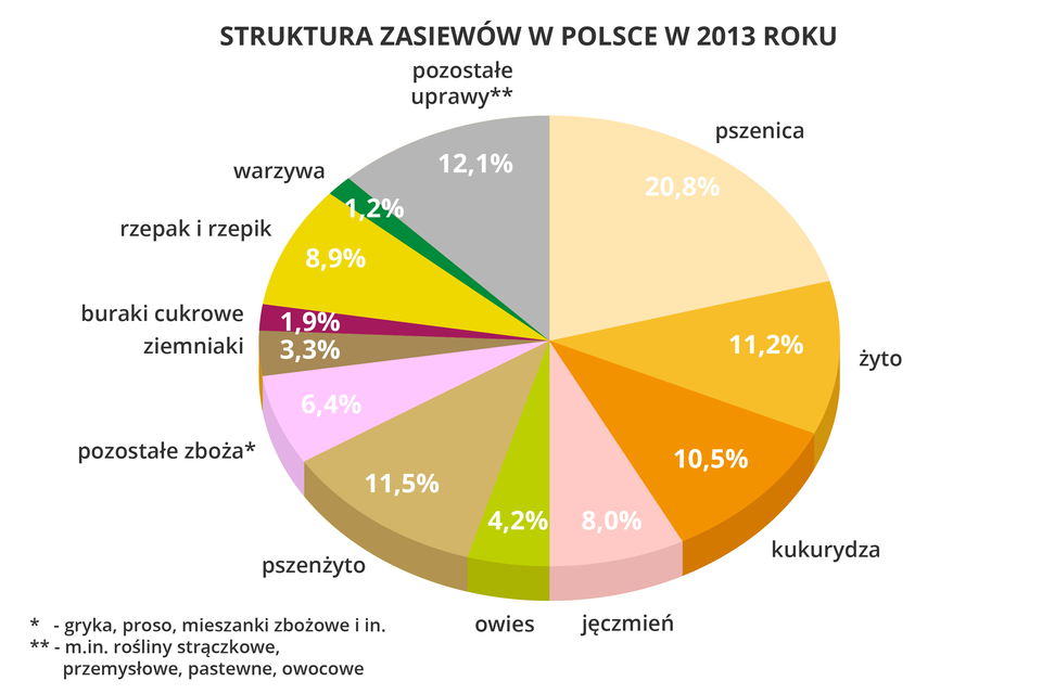 Na ilustracji diagram kołowy struktury zasiewów w Polsce w 2013 roku. <table><tr><td>Pszenica</td><td>20,80%</td></tr><tr><td>Żyto</td><td>11,20%</td></tr><tr><td>Kukurydza</td><td>10,50%</td></tr><tr><td>Jęczmień</td><td>8,00%</td></tr><tr><td>Owies</td><td>4,20%</td></tr><tr><td>Pszenżyto</td><td>11,50%</td></tr><tr><td>Pozostałe zboża</br>(gryka, proso,</br>mieszanki zbożowe)</td><td>6,40%</td></tr><tr><td>Ziemniaki</td><td>3,30%</td></tr><tr><td>Buraki cukrowe</td><td>1,90%</td></tr><tr><td>Rzepak i rzepik</td><td>8,90%</td></tr><tr><td>Warzywa</td><td>1,20%</td></tr><tr><td>Pozostałe</br>(strączkowe, przemysłowe,</br>owocowe, pastewne)</td><td>12,10%</td></tr></table>