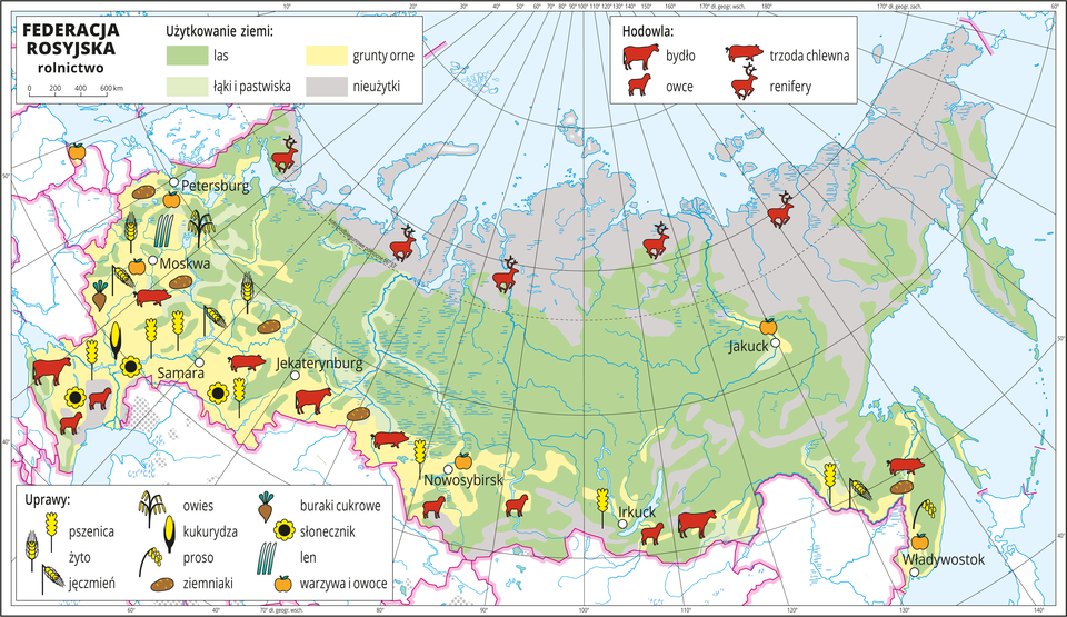 Ilustracja przedstawia mapę gospodarczą Federacji Rosyjskiej. Na mapie rolnictwa kolorem żółtym przedstawiono grunty orne na zachodzie i południu kraju, jasnozielonym – łąki i pastwiska – głównie wzdłuż rzek, zielonym lasy – przewaga na większości obszaru i szarym nieużytki – na północy kraju. Na mapie sygnatury obrazujące uprawy roślin (buraki cukrowe, słonecznik, len, warzywa i owoce, owies, kukurydza, proso, ziemniaki, pszenica, żyto, jęczmień) oraz hodowlę zwierząt (bydło, trzoda chlewna, owce, renifery). Skupione na zachodzie i południu. Na północy jedynie renifery. Mapa zawiera południki i równoleżniki, dookoła mapy w białej ramce opisano współrzędne geograficzne co dziesięć stopni.