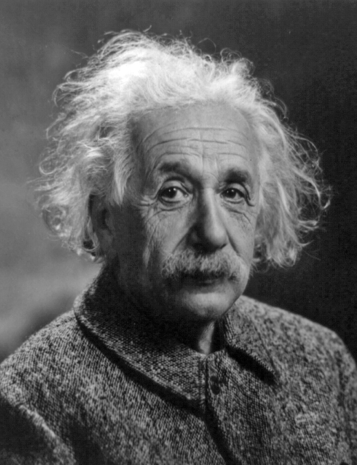 Zdjęcie przedstawia twarz i ramiona uczonego Alberta Einsteina. Przeważają czarno białe i szare odcienie. Mężczyzna w wieku około siedemdziesiąt lat. Siwe dłuższe włosy swobodnie opadają z tyłu głowy. Włosy sięgają opuszków uszu. Czoło wysokie pokryte licznymi poziomymi zmarszczkami. Brwi bardzo wyraziste, krzaczaste i czarne. Powieki mocno opadają na oczy. Liczne zmarszczki otaczają oczy. Pod oczami widoczne workowate fałdy skóry. Nos duży i wyrazisty. Nos zaokrąglony na końcu. Duże gęste siwe wąsy. Twarz pokryta licznymi zmarszczkami. Mężczyzna ubrany w ciemną marynarkę.