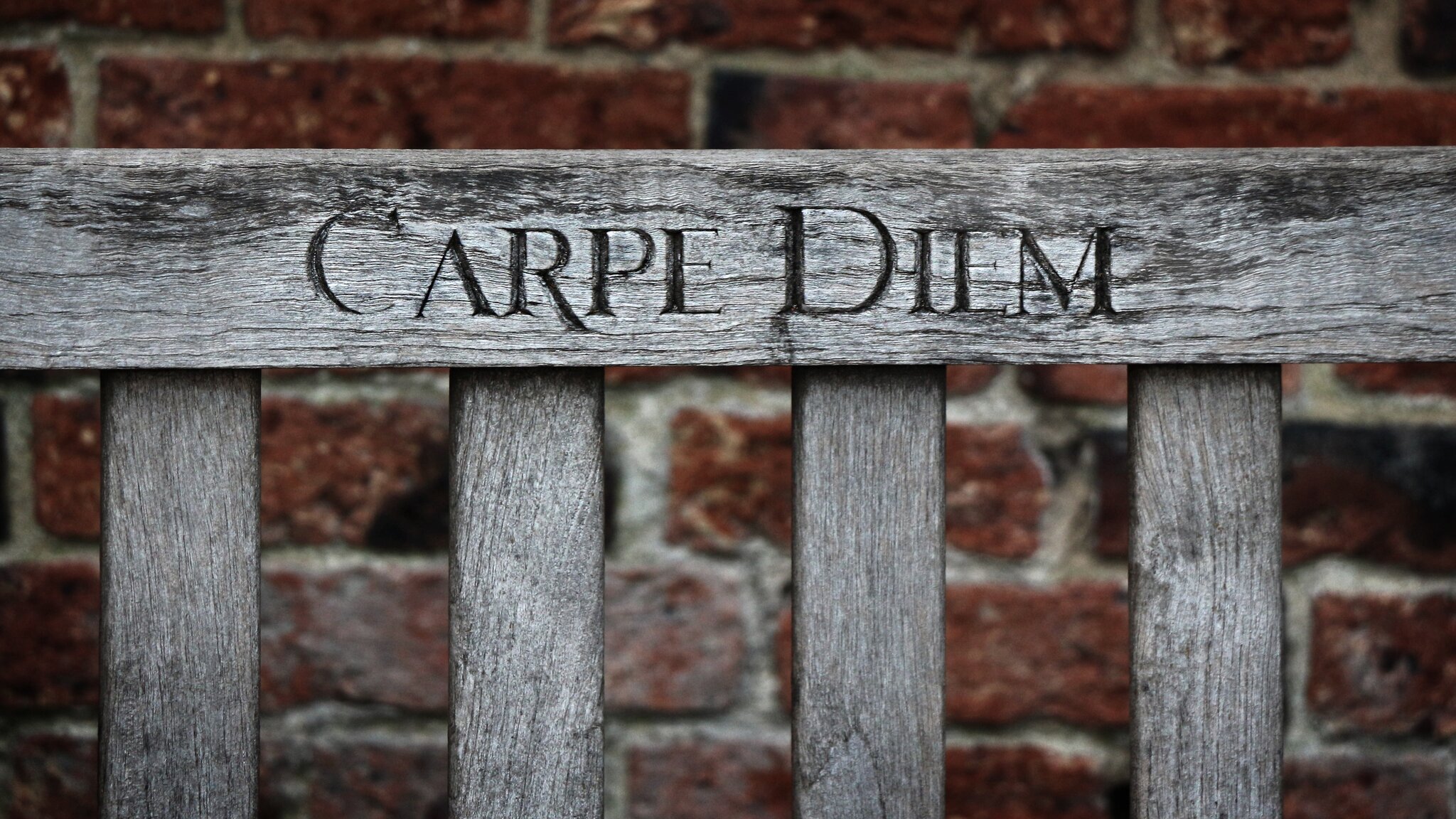 Carpe diem_napis Źródło: Phill Connell, fotografia barwna, licencja: CC BY-NC-ND 2.0.