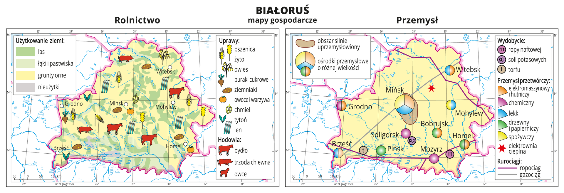 Ilustracja przedstawia dwie mapy gospodarcze Białorusi. Mapa pierwsza – rolnictwo, mapa druga – przemysł. Na mapie rolnictwa tło w kolorze żółtym (grunty orne), jasnozielonym (łąki i pastwiska), zielonym (lasy) i szarym (nieużytki). Na mapie sygnatury obrazujące uprawy roślin (pszenica, żyto, buraki cukrowe, ziemniaki, owoce, warzywa, tytoń i len) oraz hodowlę zwierząt (bydło, trzoda chlewna i owce). Na mapie przemysłu sygnatury kołowe – ośrodki przemysłowe. Duże w Mińsku, mniejsze w Grodnie, Brześciu, Mohylewie i innych miejscowościach. Przemysł elektromaszynowy i hutniczy, chemiczny, lekki, drzewny i papierniczy oraz spożywczy. Elektrownia cieplna w pobliżu Mińska oznaczona gwiazdką, ropociąg i gazociąg oznaczone liniami. Sygnaturami oznaczone wydobycie ropy naftowej, soli potasowych i torfu. Obie mapy zawierają południki i równoleżniki, dookoła map w białych ramkach opisano współrzędne geograficzne co dwa stopnie.