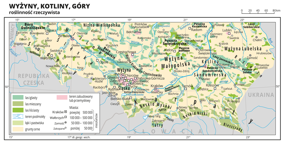 Ilustracja przedstawia fragment mapy Polski obejmujący wyżyny, kotliny i góry na którym przedstawiono roślinność rzeczywistą. Na mapie przeważa kolor beżowy obrazujący grunty orne, na którym rozmieszczone są małe plamy koloru zielonego obrazujące występowanie lasów iglastych (kolor ciemnozielony), lasów liściastych (kolor jasnozielony), lasów mieszanych (kolor bardzo jasny zielony). Oznaczono i opisano miasta, rzeki i jeziora. Opisano niziny, wyżyny i góry oraz państwa sąsiadujące z Polską. Podpisano również większe kompleksy leśne, jak Bory Dolnośląskie, Puszcza Świętokrzyska i tym podobne. Na mapie wyraźnie widać, że w obrębie pasm górskich występują jedynie lasy mieszane. W obrębie dużych miast kolorem różowym oznaczono tereny zabudowane lub przemysłowe. Dookoła mapy w białej ramce opisano współrzędne geograficzne co dwa stopnie. W legendzie mapy objaśniono znaki i barwy użyte na mapie.