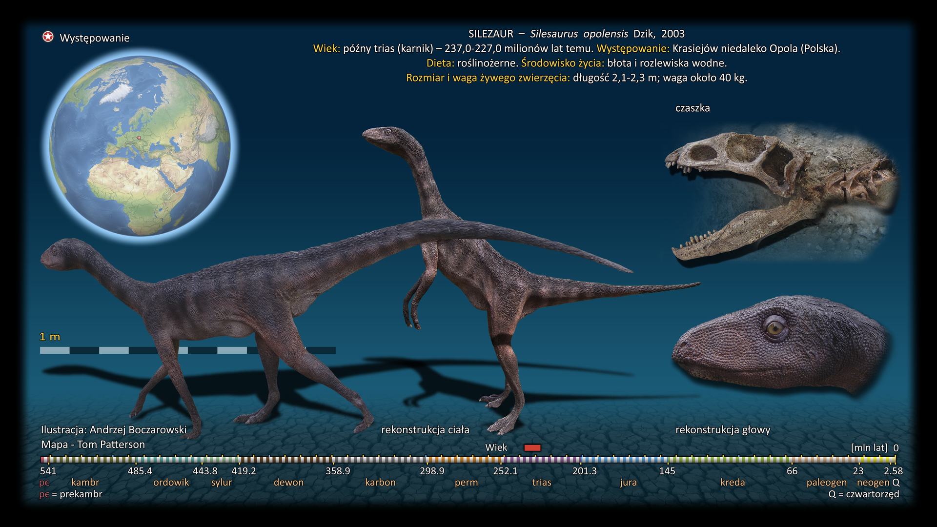Silesaurus opolensis