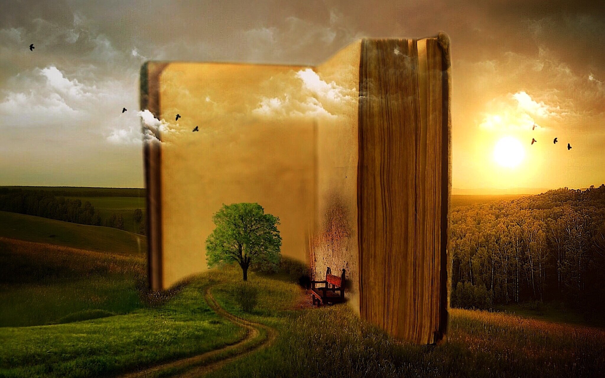 Biblia_intro Źródło: www.pixabay.com, domena publiczna.