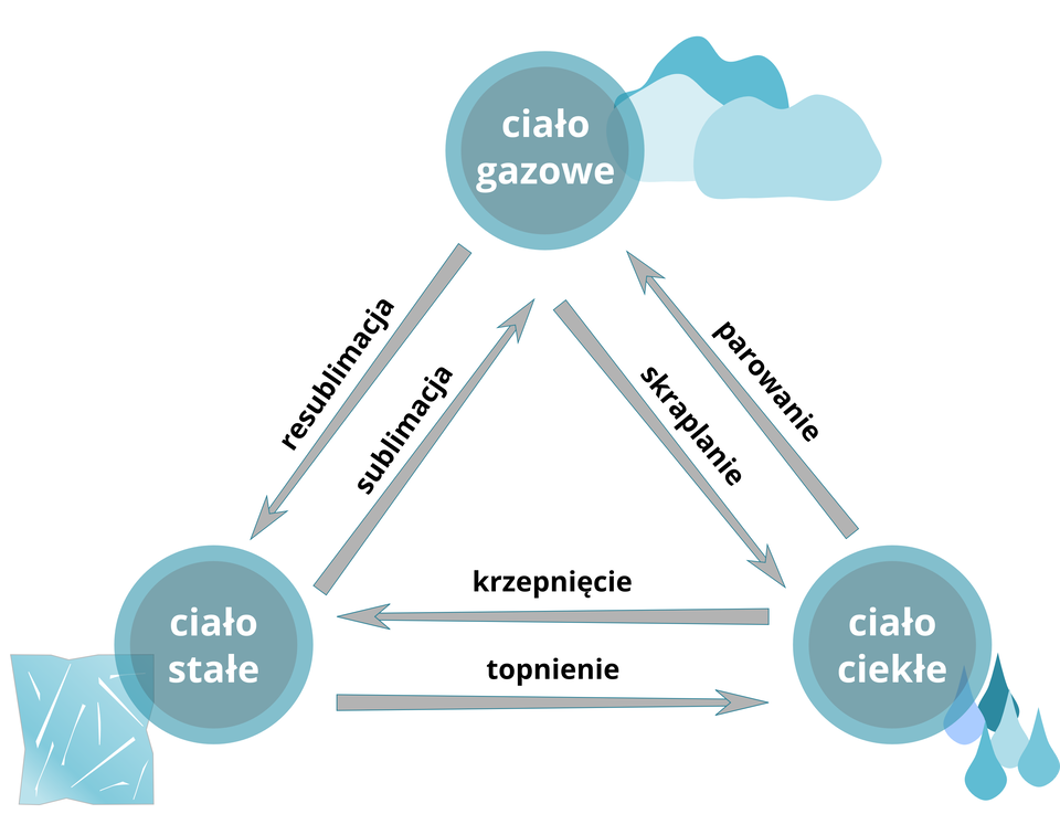 Ilustracja przedstawia schemat przemian fazowych. Na schemacie widnieją trzy koła. Jedno koło na górze ilustracji. Dwa koła na dole, jedno w lewym rogu, drugie w prawym rogu. Koła układem przypominają trójką równoboczny. W kołach widnieją napisy, a obok kół rysunki. W górnym kole napisano: „ciało gazowe”. Na rysunku obok są trzy niebieskie chmurki. Dwie jasne, jedna ciemna. W lewym dolnym kole napisano: „ciało stałe”. Na rysunku obok przedstawiono jasnoniebieską kostkę lodu. W prawym dolnym kole napisano: „ciało ciekłe”. Na rysunku obok znajduje się pięć kropelek w kolorze niebieskim. Od górnego koła „ciało gazowe” w kierunku lewego dolnego koła „ciało stałe” poprowadzono strzałkę. Strzałka została opisana jako „resublimacja”. Strzałka w drugą stronę (od „ciała stałego” do „ciała gazowego”) została opisana jako „sublimacja”. Od górnego koła „ciało gazowe” w kierunku prawego dolnego koła „ciało ciekłe” poprowadzono strzałkę. Strzałka opisana jako „skraplanie”. Strzałka w drugą stronę („od ciała ciekłego” do „ciała gazowego”) jest opisana jako „parowanie”. Od dolnego lewego koła „ciało stałe” do prawego dolnego koła „ciało ciekłe” poprowadzono strzałkę. Strzałka opisana jako „topnienie”. Od „ciała ciekłego” do „ciała stałego” prowadzi strzałka opisana „krzepnięcie”.