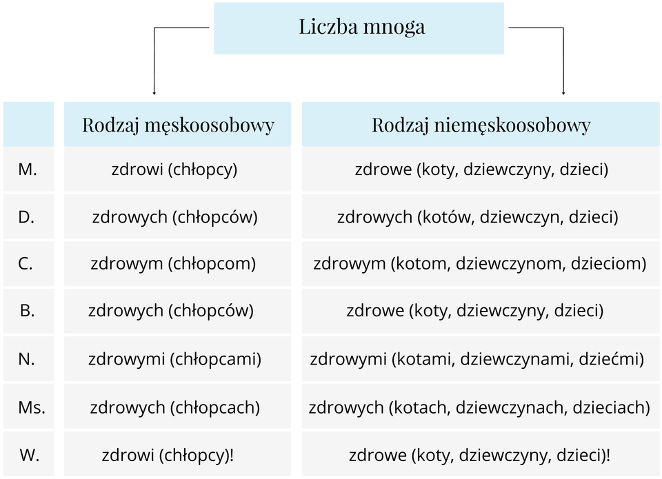 tabela przymiotnik Źródło: Contentplus.pl sp. z o.o..
