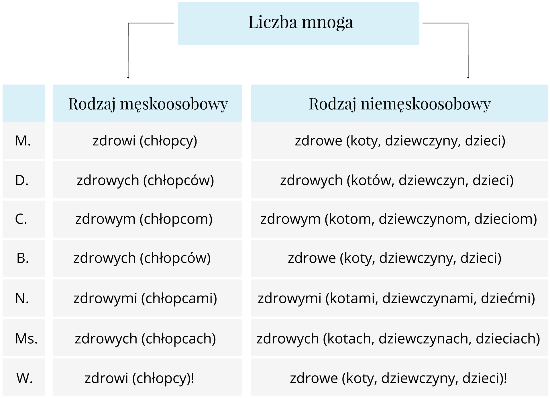 tabela przymiotnik Źródło: Contentplus.pl sp. z o.o..