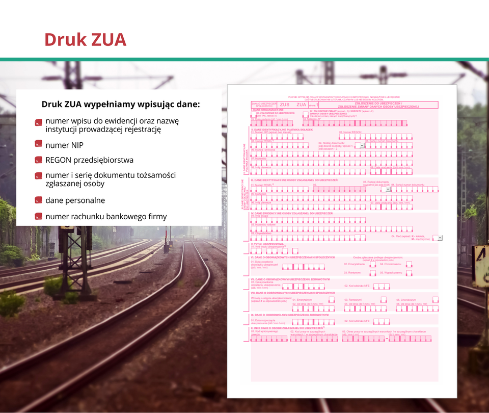 Ilustracja przedstawia druk ZUA.