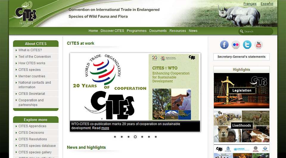 IIlustracja przedstawia zrzut ekranu strony głównej CITES w języku angielskim. U góry z lewej logo, z prawej fotografia dwóch nosorożców. W centrum logo World Trade Organisation (Światowej organizacji Handlu) oraz informacja o 20 latach współpracy z CITES.
