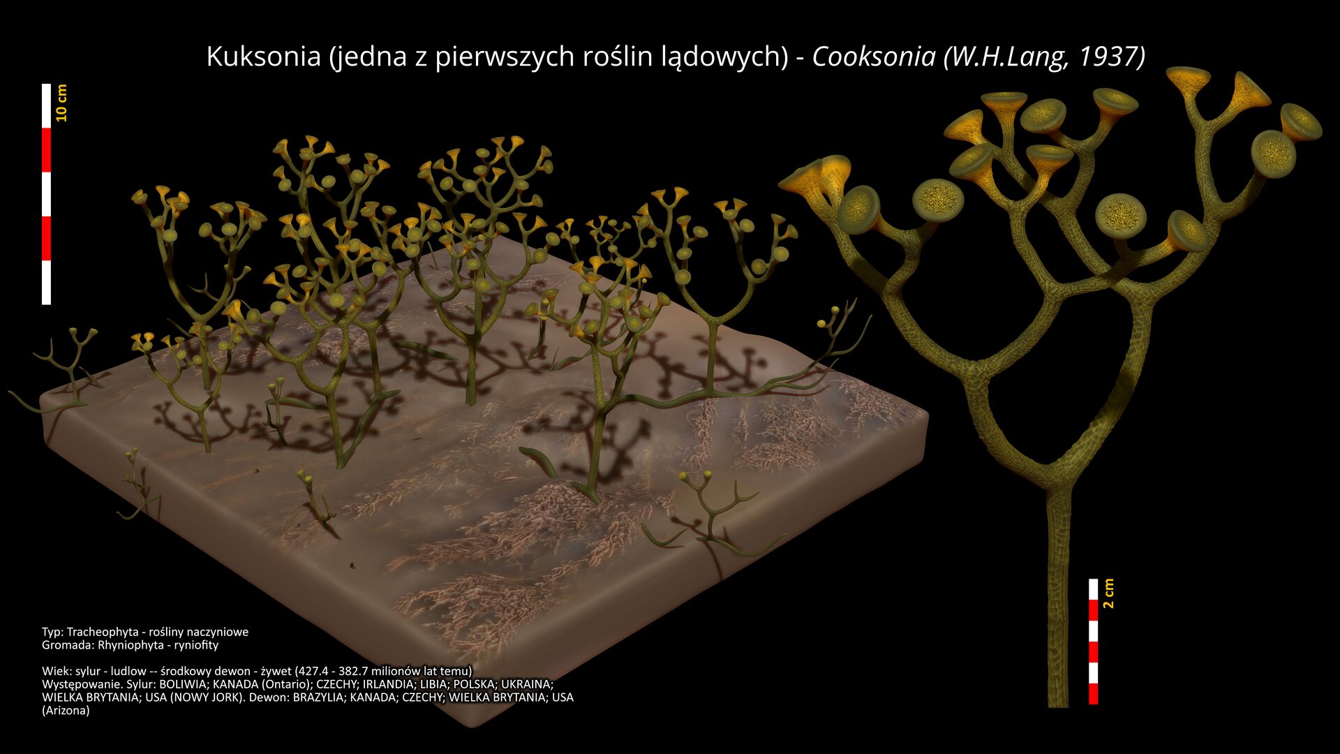 datowanie radiometryczne i ćwiczenie wieku geologicznego 7 znajomi z serwisami randkowymi za darmo