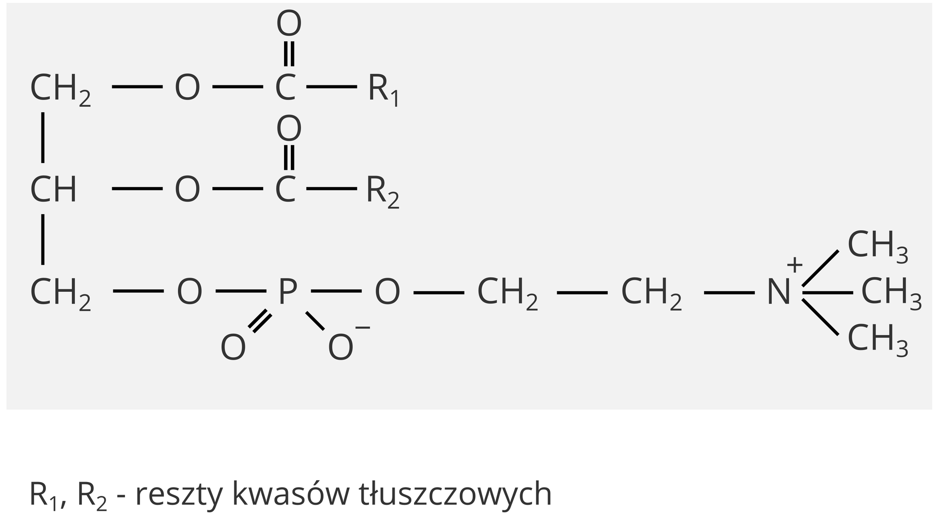 Lecytyny –budowa chemiczna