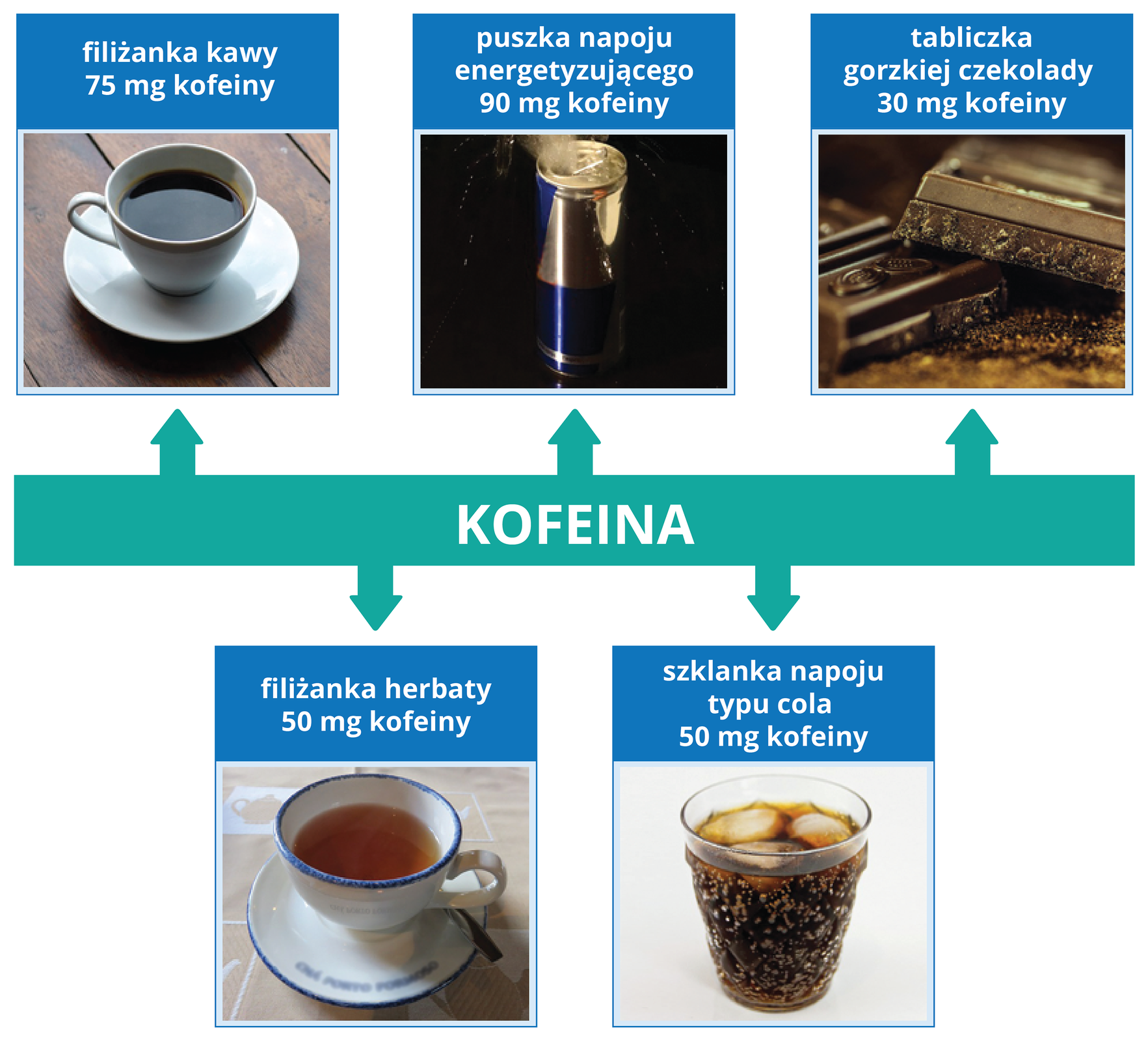 Ilustracja przedstawia zawartośc kofeiny w różnych produktach spożywczych. Zdjęcie filiżanki kawy jak we wzorze.Podpis: filiżanka kawy – 75 mg kofeinyZdjęcie filiżanki herbaty jak we wzorze.Podpis: filiżanka herbaty – 50 mg kofeinyZdjęcie puszki napoju energetyzującego jak we wzorze.Podpis: puszka napoju energetyzującego – 90 mg kofeinyZdjęcie szklanki z colą jak we wzorze.Podpis: szklanka napoju typu cola – 50 mg kofeinyZdjęcie tabliczki czekolady Podpis: tabliczka gorzkiej czekolady – 30 mg kofeiny