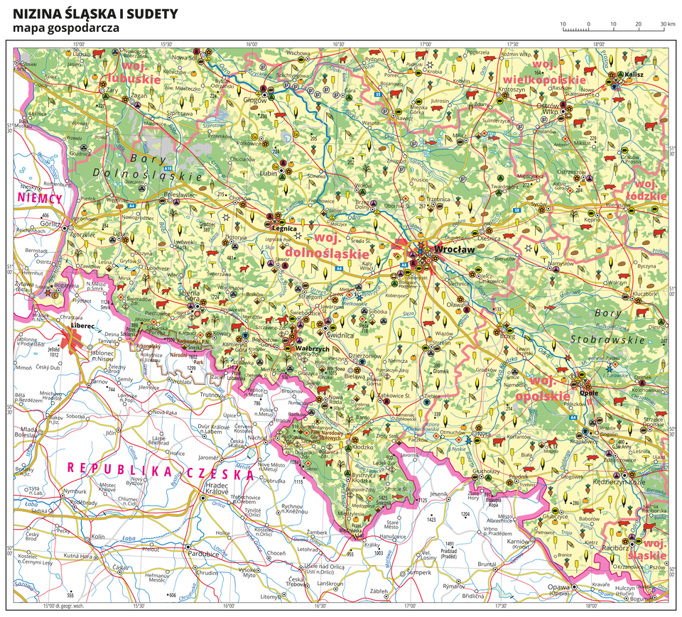 Ilustracja przedstawia mapę gospodarczą Niziny Śląskiej i Sudetów. Tło mapy w kolorze żółtym (grunty orne), jasnozielonym (łąki i pastwiska) i zielonym (lasy). Mapa obejmuje tereny Polski na południowym-zachodzie od granicy z Niemcami i Czechami po województwo łódzkie i śląskie na wschodzie, na północy sięgając Kalisza. W centralnej części mapy Wrocław. Na mapie sygnatury obrazujące uprawy poszczególnych roślin, hodowlę zwierząt, przemysł, górnictwo i energetykę, komunikację, turystykę, naukę, kulturę i sztukę. Największe zagęszczenie sygnatur we Wrocławiu. Duże zagęszczenie sygnatur w Wałbrzychu, Legnicy, Jeleniej Górze, Opolu, Ostrowie Wielkopolskim i Kaliszu. Na obszarze całej mapy rozmieszczone sygnatury hodowli i upraw. Na mapie przedstawiono sieć dróg i kolei, porty wodne i lotnicze, granice województw, granicę państwa. Opisano województwa lubuskie, dolnośląskie, opolskie, wielkopolskie, łódzkie i śląskie. Opisano Niemcy i Republikę Czeską. Opisano kompleksy leśne, na przykład Bory Dolnośląskie i parki narodowe. Mapa zawiera południki i równoleżniki, dookoła mapy w białej ramce opisano współrzędne geograficzne co trzydzieści minut.