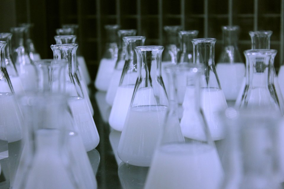 Na fotografii znajdują się szklane kolby laboratoryjne zawierające ciecz w białym kolorze.
