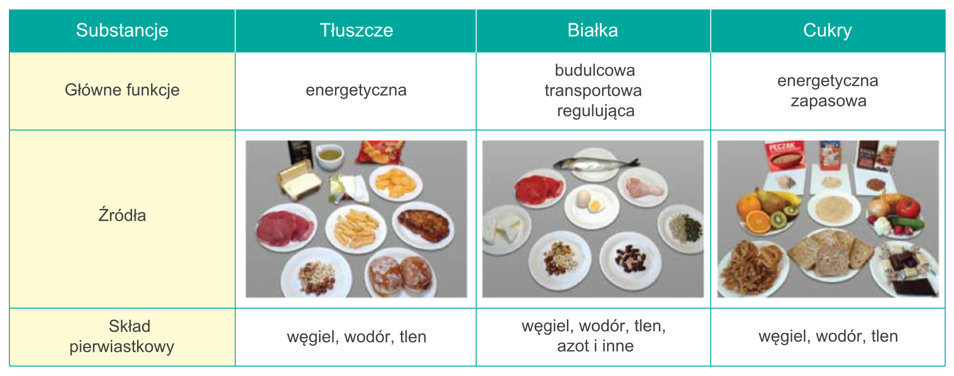 Substancje o znaczeniu biologicznym, ich funkcje oraz źródła występowania