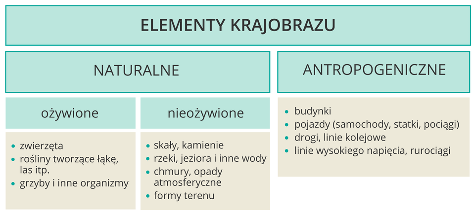 Schemat blokowy przedstawia podział elementów krajobrazu na naturalne i antropogeniczne. Składniki naturalne dzielą się na ożywione, czyli: zwierzęta, rośliny, grzyby i inne, oraz nieożywione, czyli: skały, kamienie, wody, chmury, różne formy terenu. Do elementów antropogenicznych zaliczają się: budynki, pojazdy, drogi, linie kolejowe, linie wysokiego napięcia itp.
