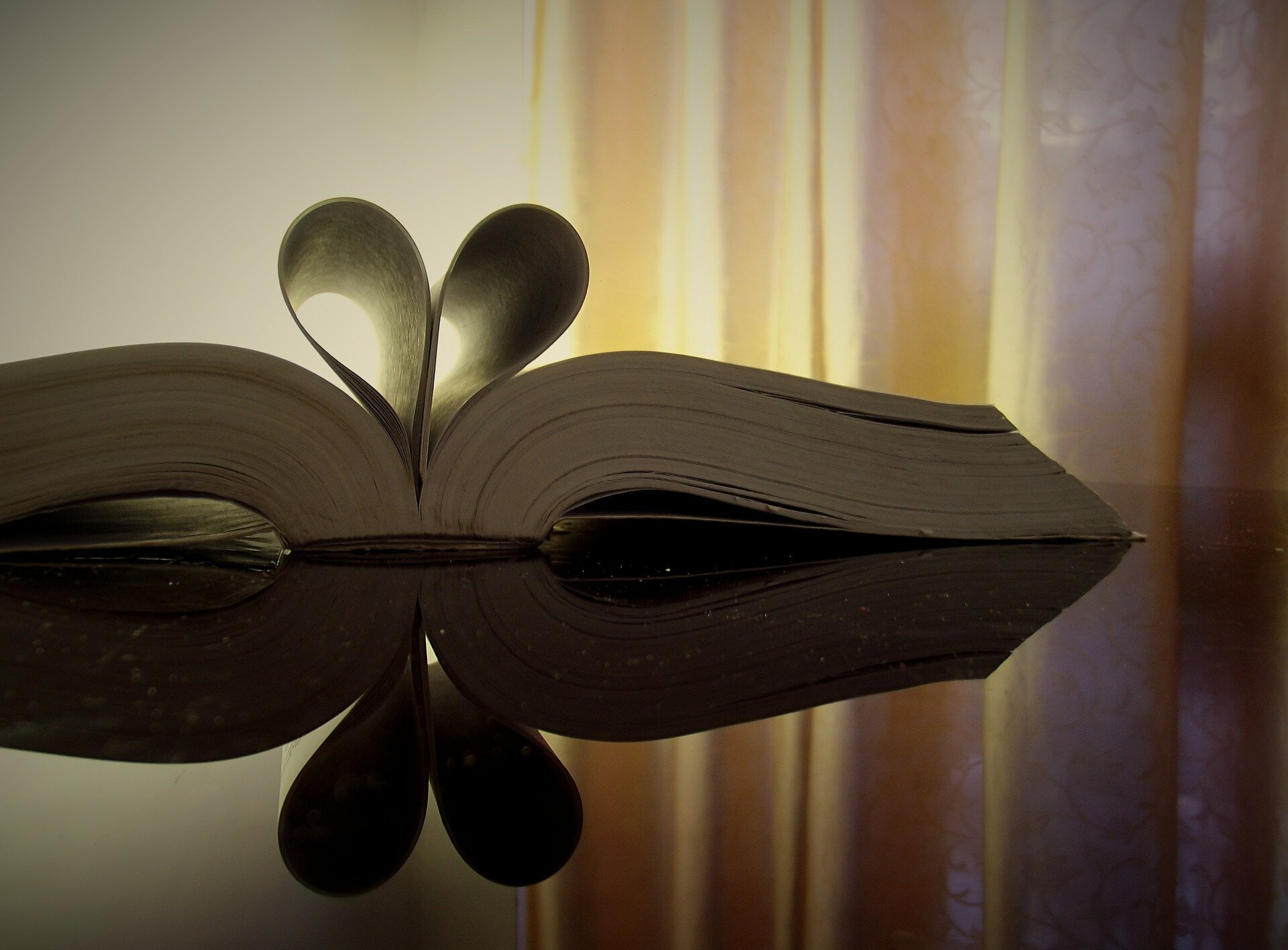 Okładka - literatura jako język miłości Źródło: pixabay, licencja: CC 0.