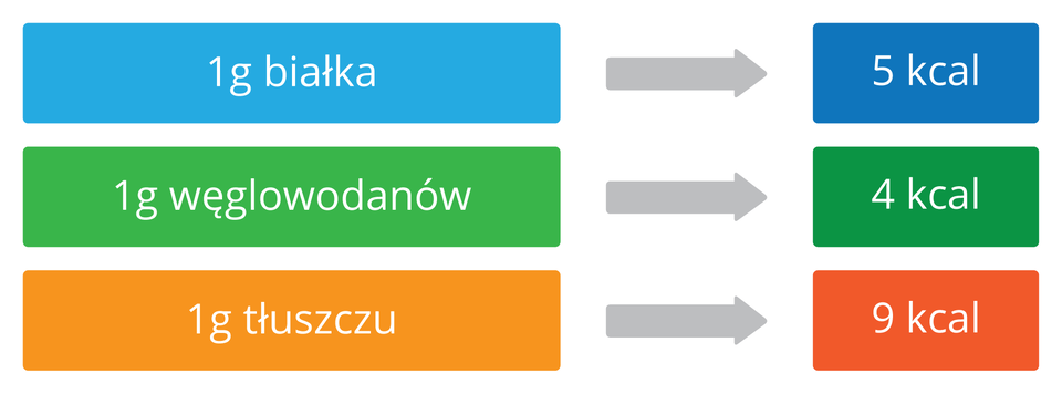 Schemat przedstawia wartość energetyczną składników pokarmowych. Na niebieskim tle napis: jeden gram białka, po strzałce 4 kilokalorie. Na zielonym tle napis: jeden gram węglowodanów, po strzałce 4 kilokalorie. Na pomarańczowym tle napis: jeden gram tłuszczu, po strzałce 9 kilokalorii.