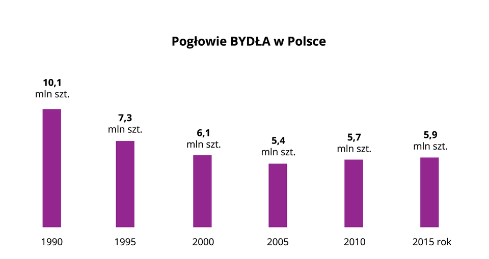 Na ilustracji diagramy słupkowe – pogłowie bydła w Polsce <table><tr><th>rok</th><th>ilość sztuk</th></tr><tr><td>1990</td><td>10100000</td> <tr><td>1995</td><td>7300000</td> <tr><td>2000</td><td>6100000</td> <tr><td>2005</td><td>5400000</td> <tr><td>2010</td><td>5700000</td> <tr><td>2015</td><td>5900000</td> </tr><table>